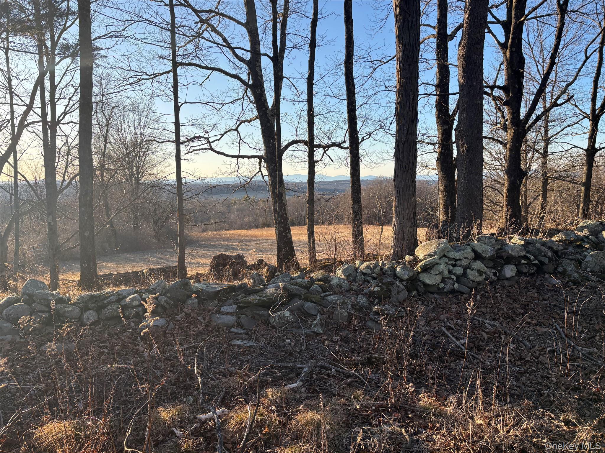 #7 photo, Barkit Kennel Rd, Pleasant Valley , NY 