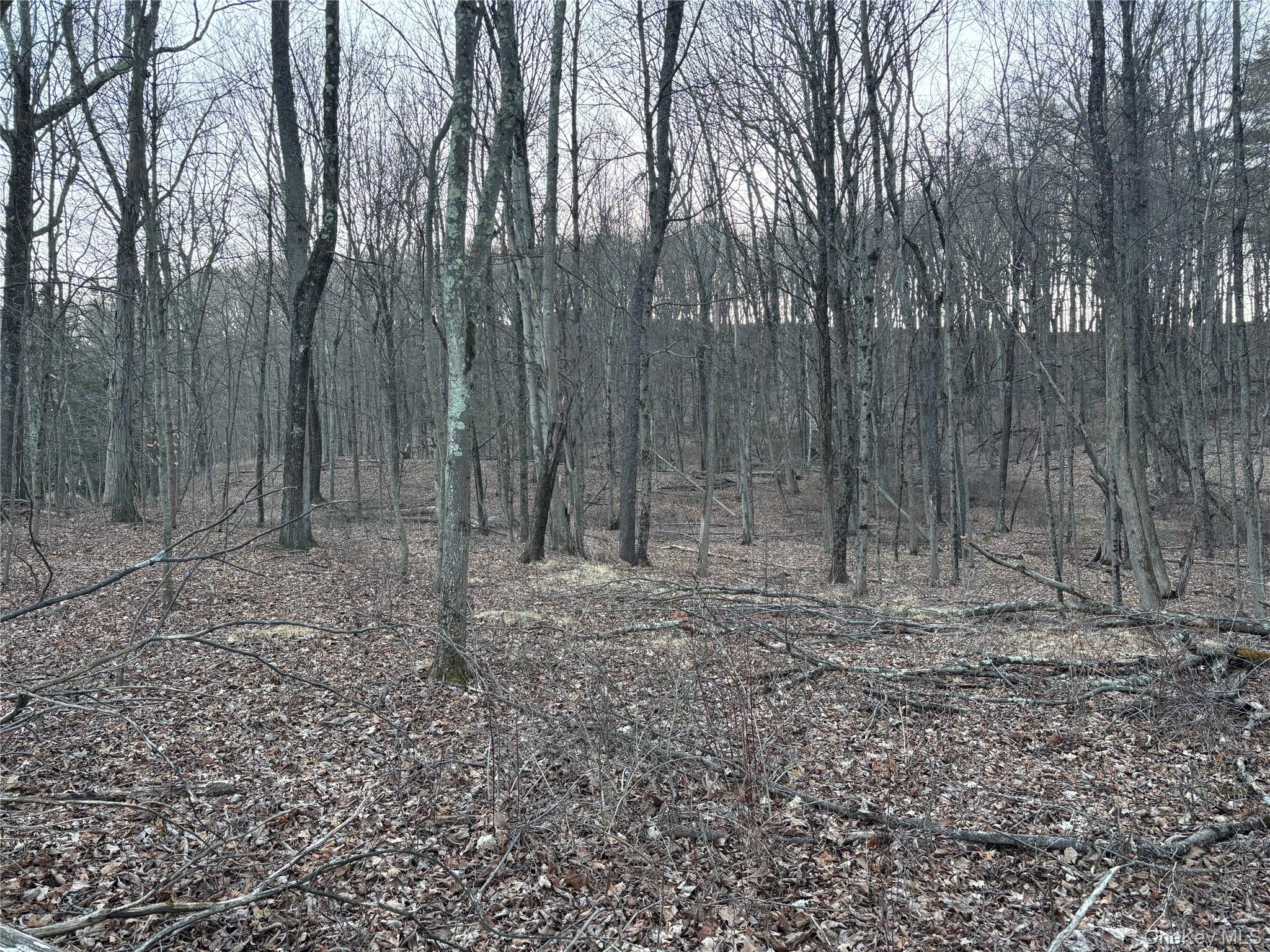 #8 photo, Barkit Kennel Rd, Pleasant Valley , NY 