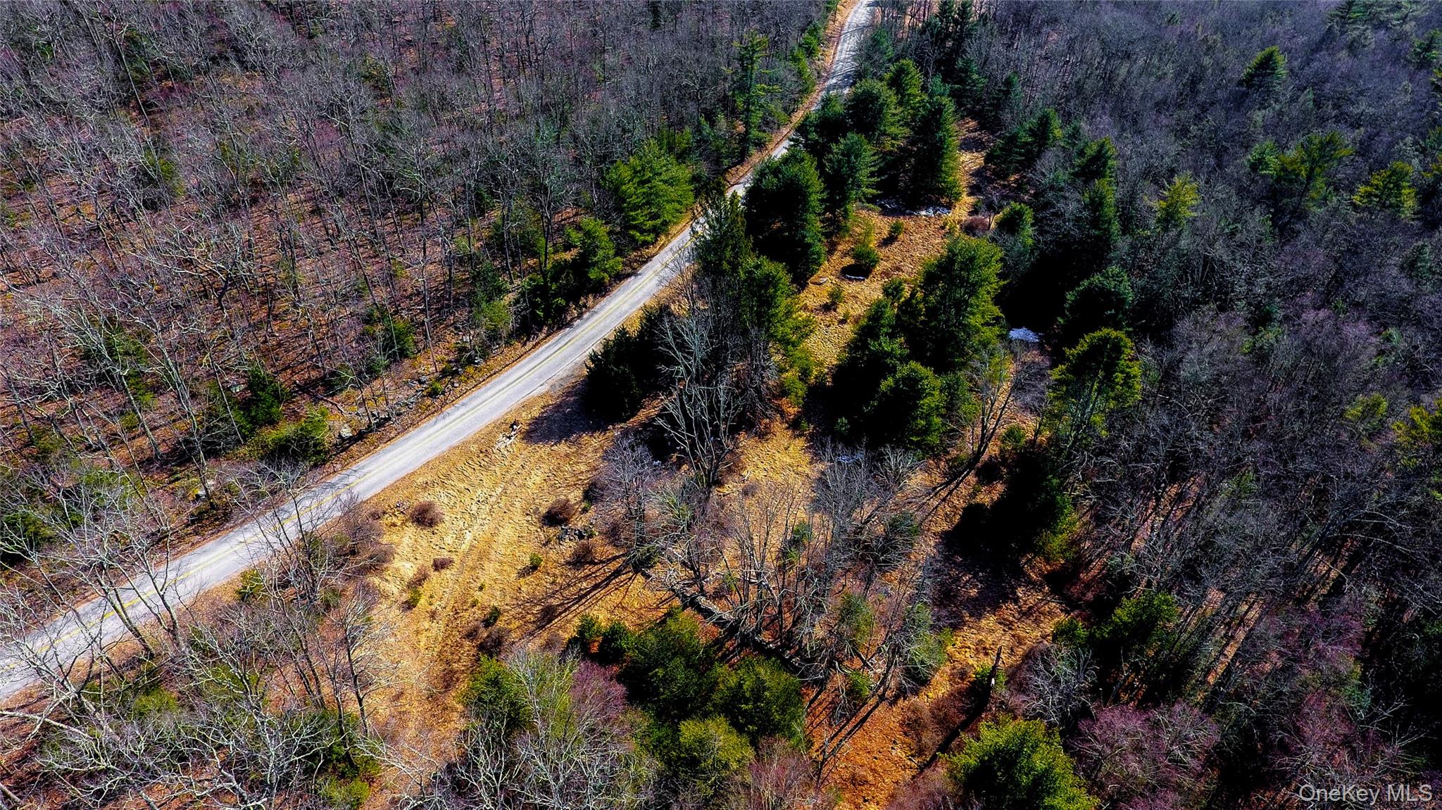 #13 photo, 1021 Pine Kill Road, Wurtsboro , NY 12790