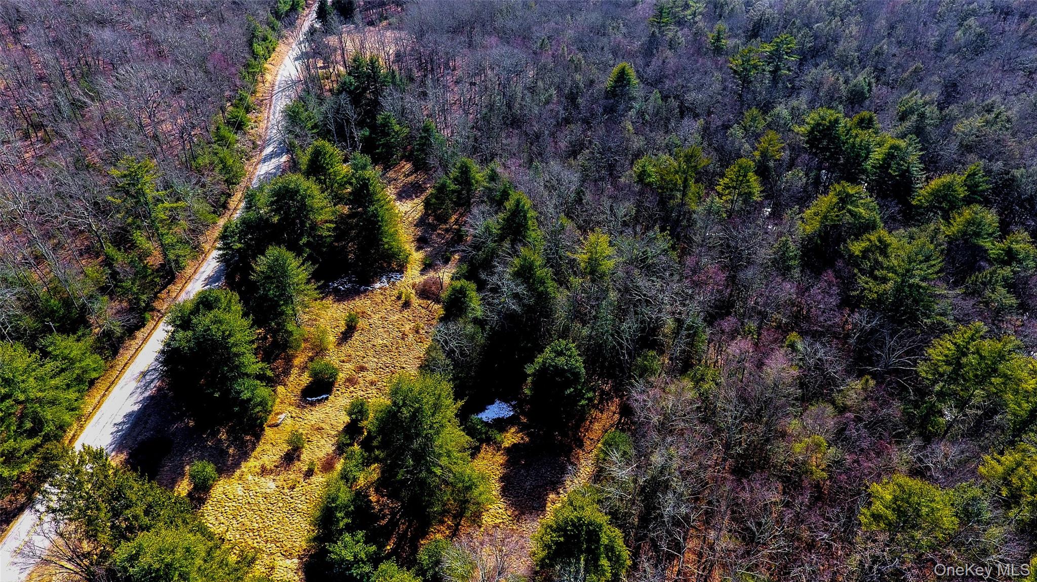 #14 photo, 1021 Pine Kill Road, Wurtsboro , NY 12790