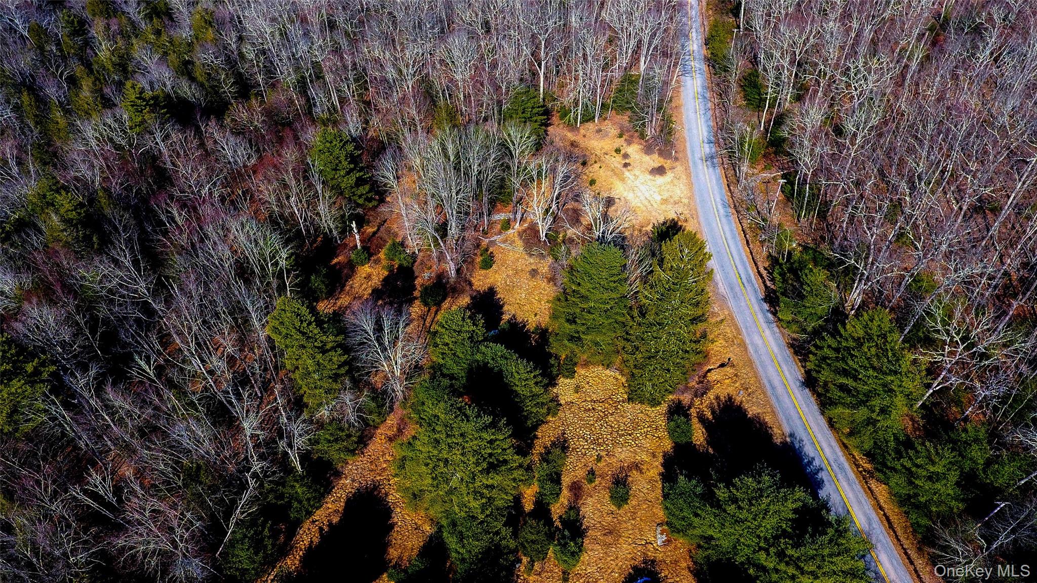 #15 photo, 1021 Pine Kill Road, Wurtsboro , NY 12790