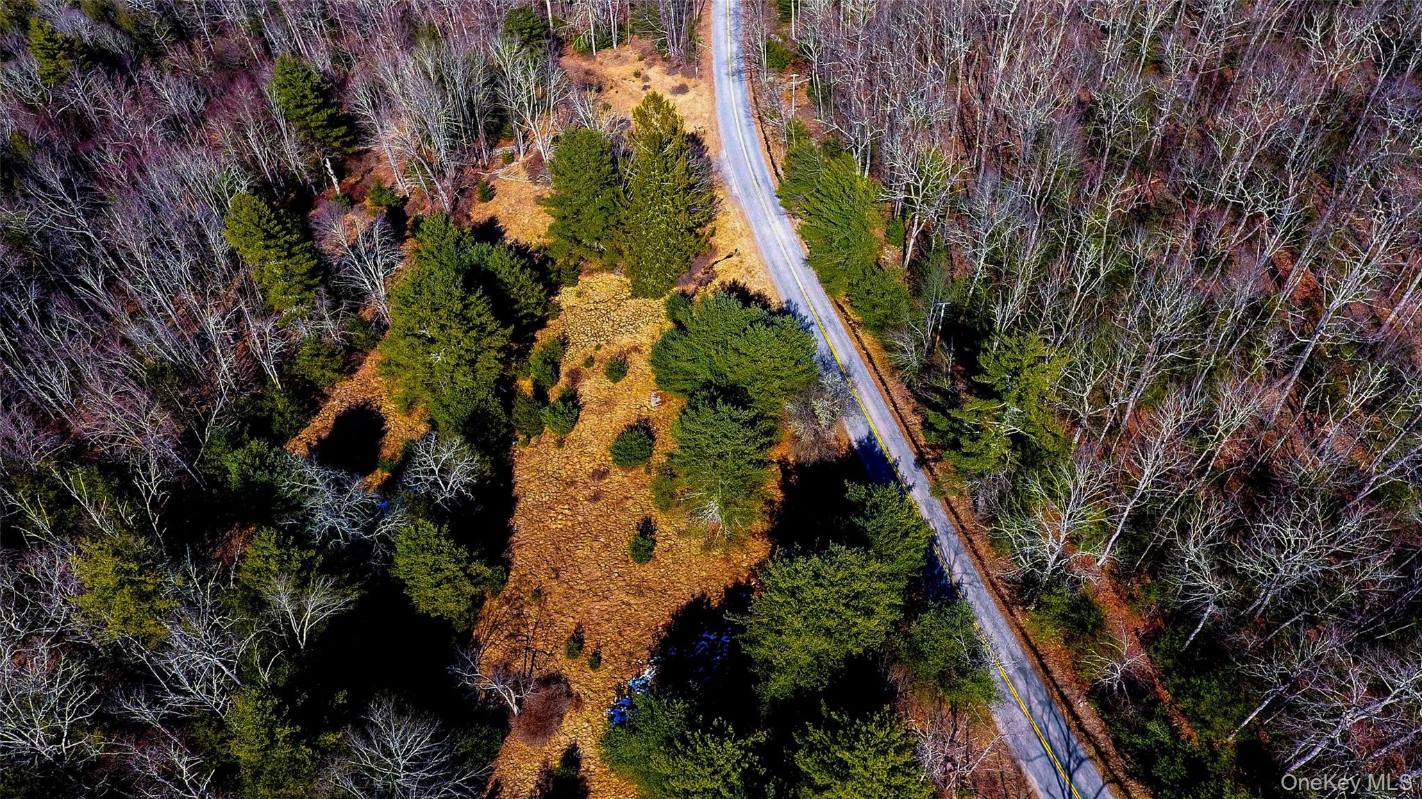 #16 photo, 1021 Pine Kill Road, Wurtsboro , NY 12790