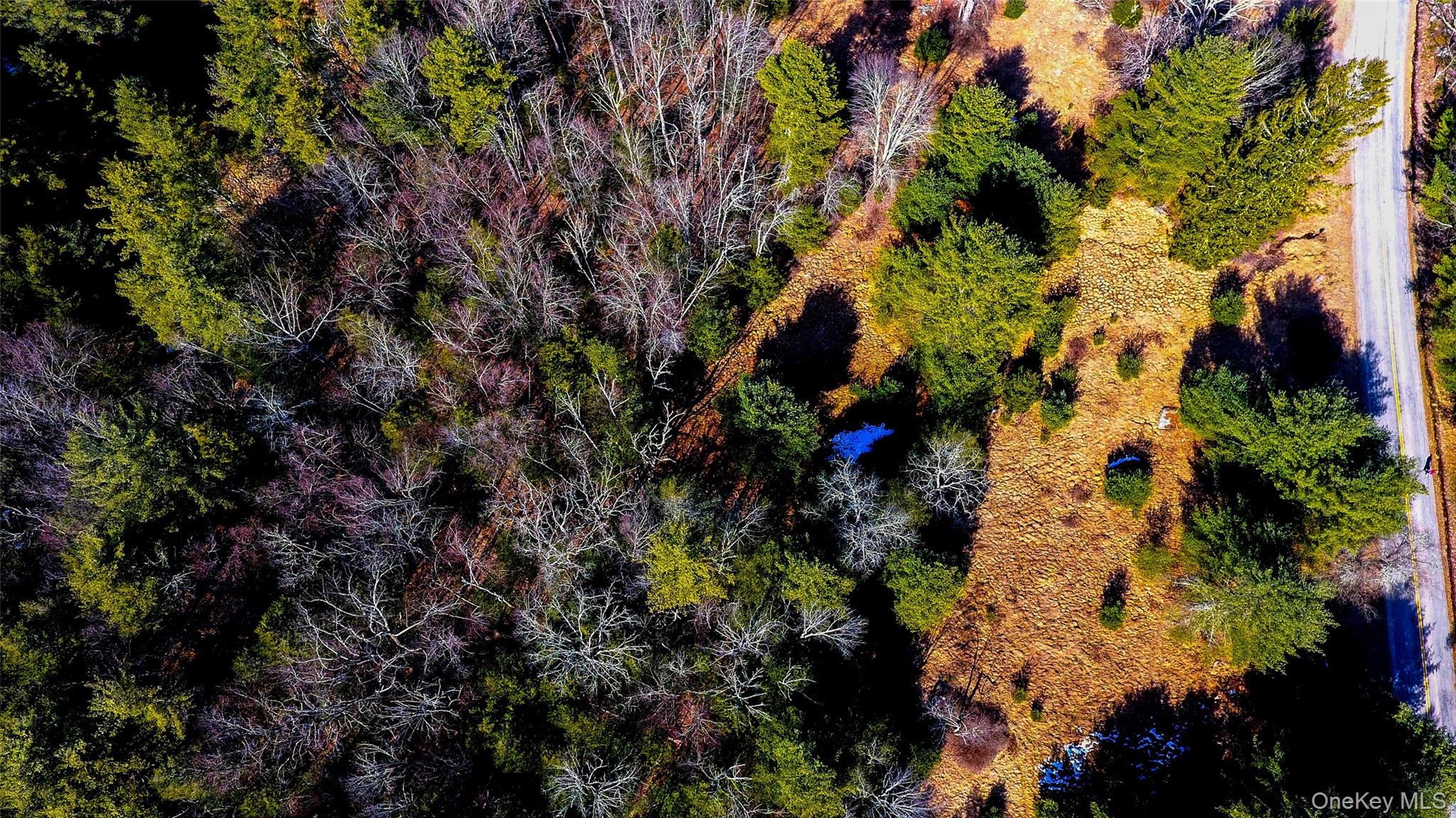 #18 photo, 1021 Pine Kill Road, Wurtsboro , NY 12790