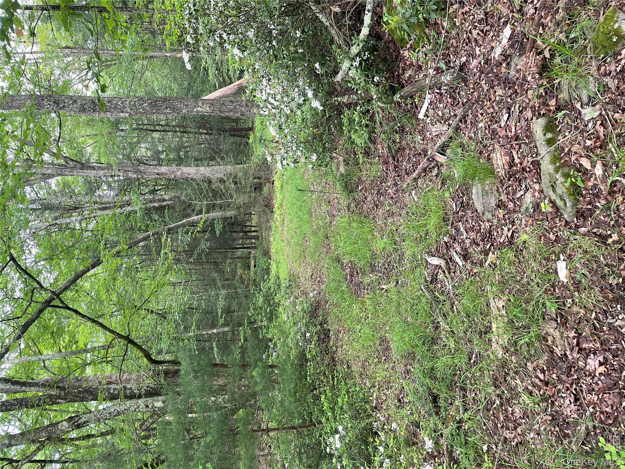 #4 photo, 1021 Pine Kill Road, Wurtsboro , NY 12790