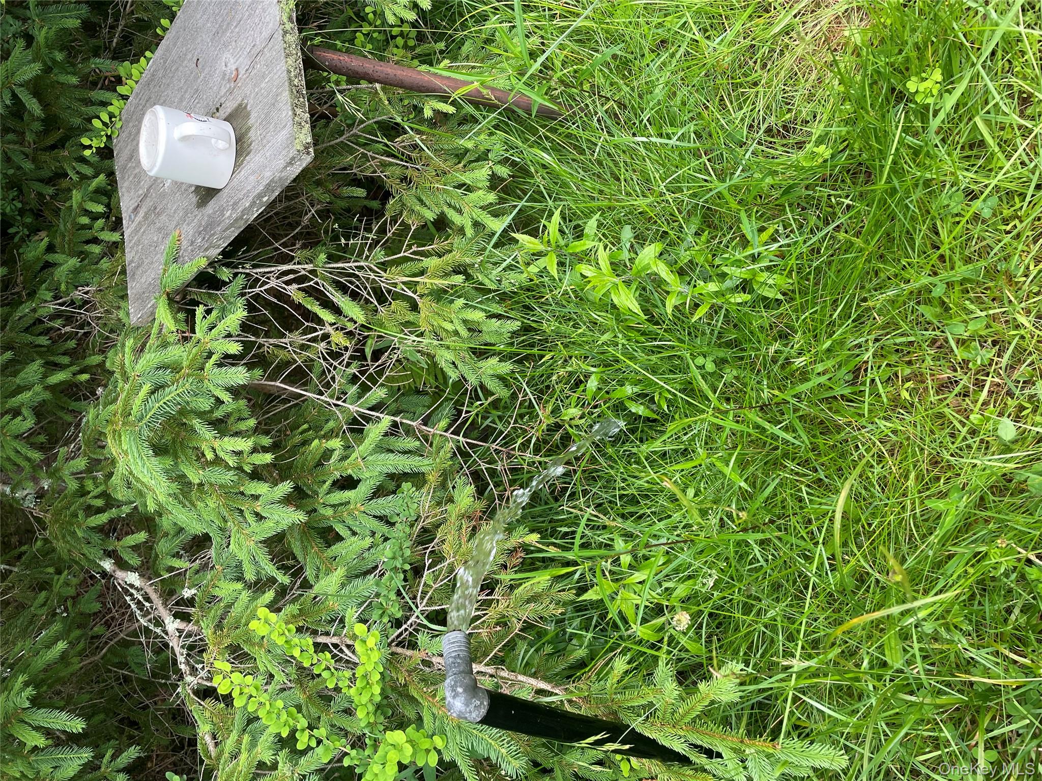 #6 photo, 1021 Pine Kill Road, Wurtsboro , NY 12790