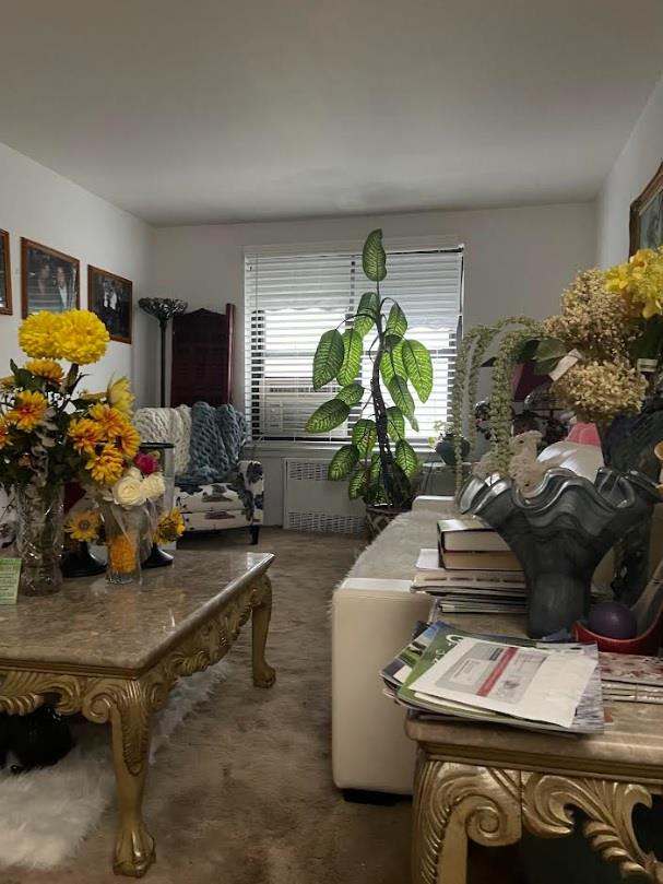 #2 photo, 87-40 Francis Lewis Boulevard, クイーンズ区 Queens Village , NY 11427