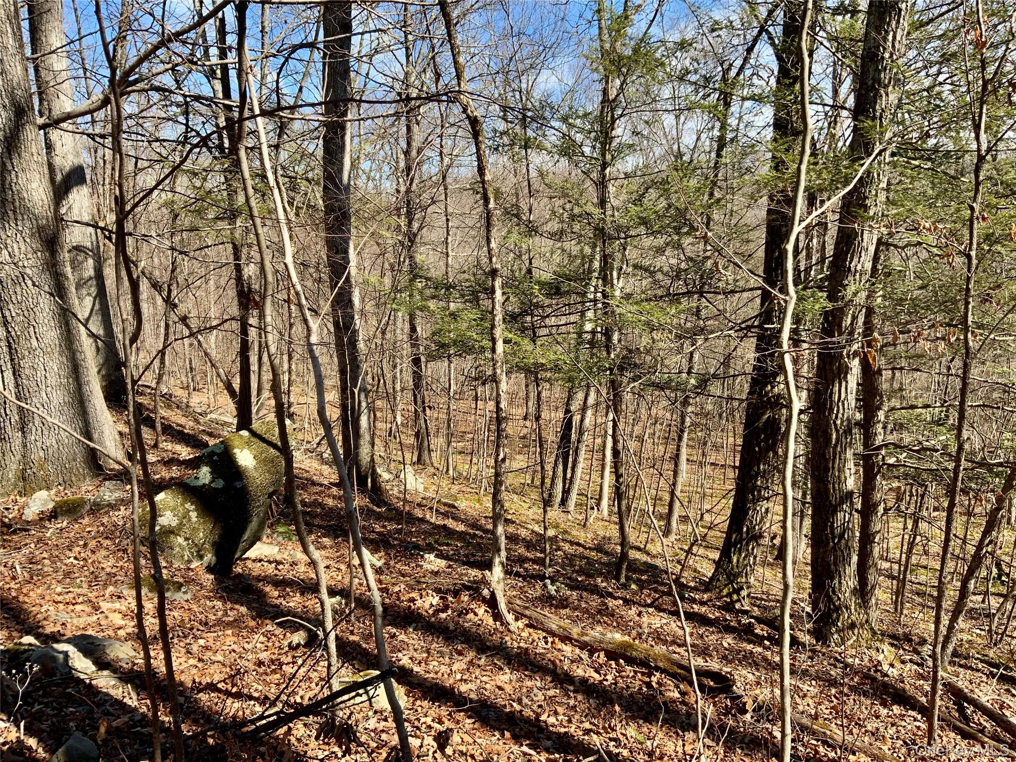 #3 photo, TBD Hawleys Corner, Highland , NY 