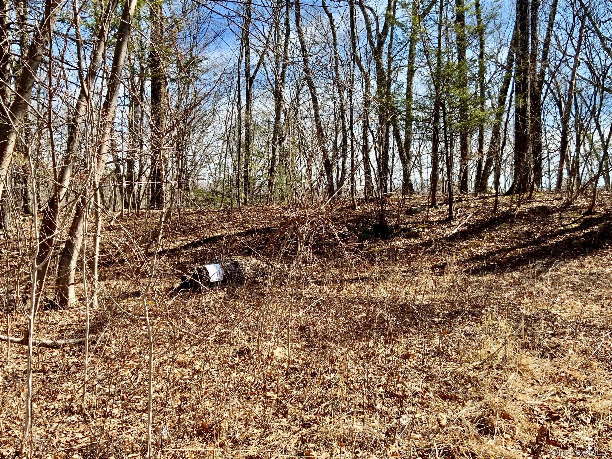 #4 photo, TBD Hawleys Corner, Highland , NY 