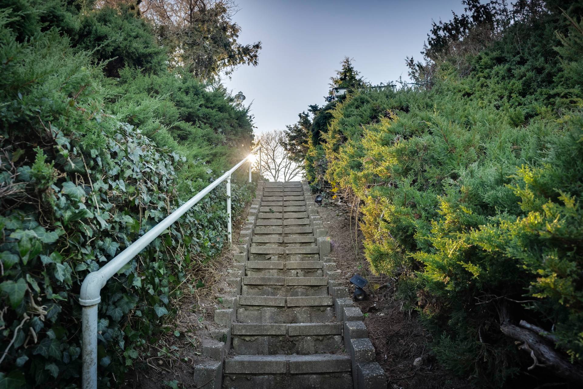 #12 photo, 3625 NOYACK RD, サフォーク郡 Sag Harbor , NY 11963