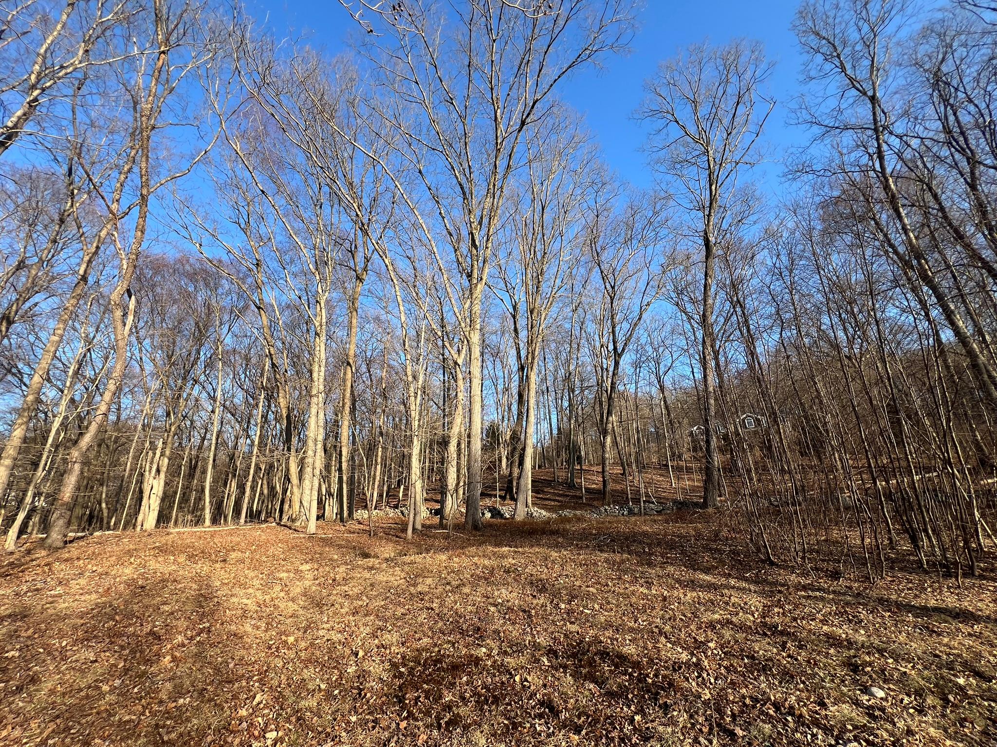 #2 photo, 52 Justins Way, Garrison , NY 10524