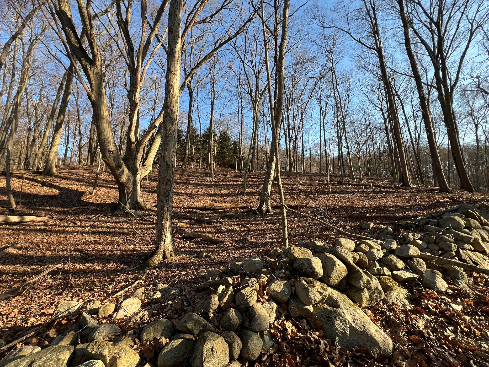 #4 photo, 52 Justins Way, Garrison , NY 10524