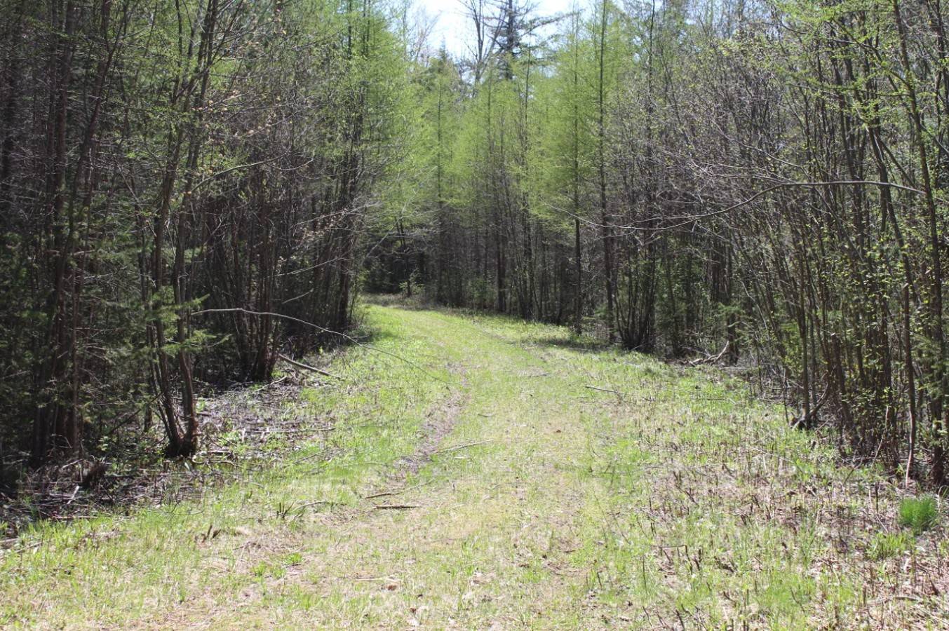 #2 photo, 0 NY-30, Indian Lake , NY 12842