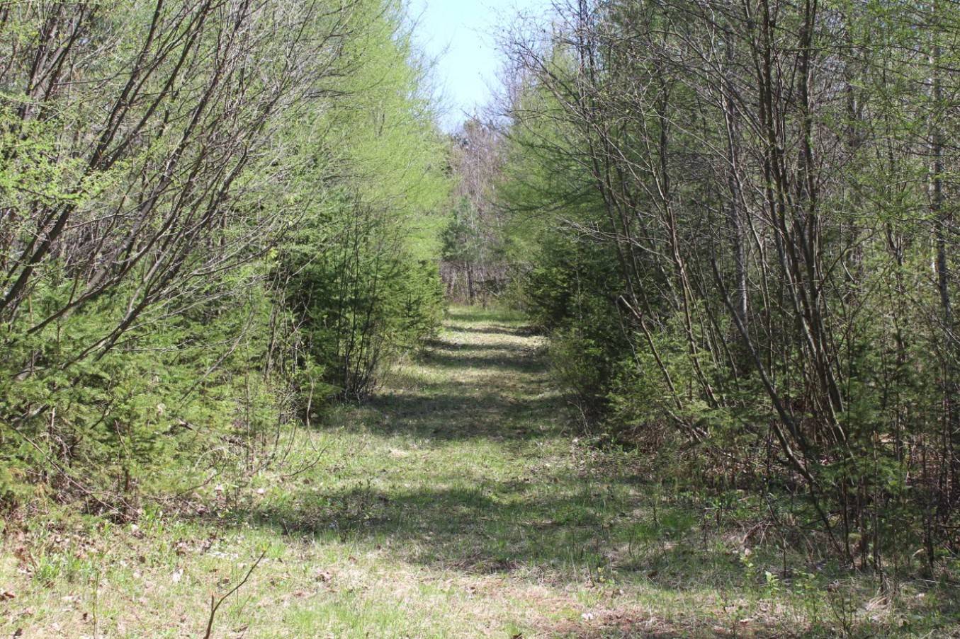 #3 photo, 0 NY-30, Indian Lake , NY 12842