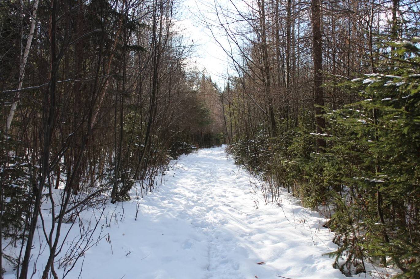 #4 photo, 0 NY-30, Indian Lake , NY 12842