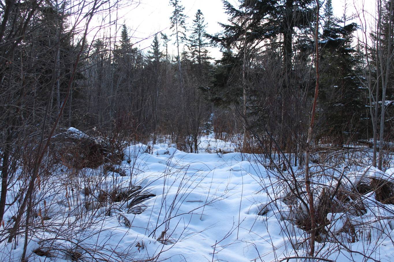 #8 photo, 0 NY-30, Indian Lake , NY 12842