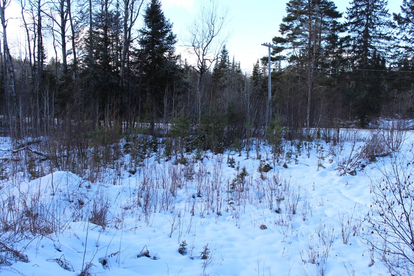 #9 photo, 0 NY-30, Indian Lake , NY 12842