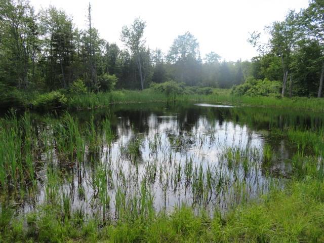 #22 photo, 3714 North Rd, West Turin , NY 13325