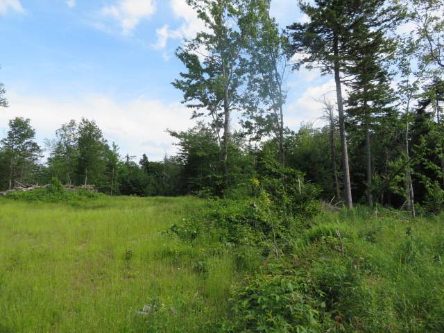 #23 photo, 3714 North Rd, West Turin , NY 13325