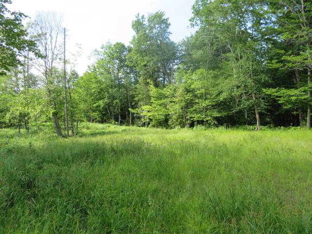 #24 photo, 3714 North Rd, West Turin , NY 13325