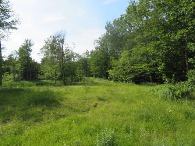 #25 photo, 3714 North Rd, West Turin , NY 13325