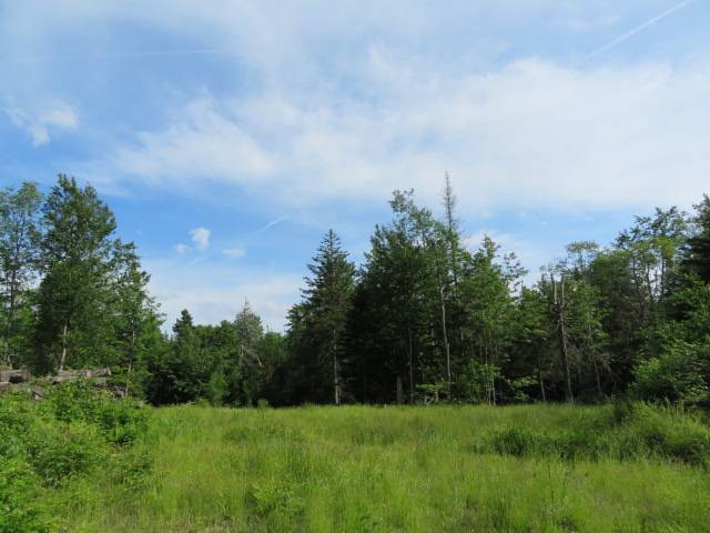 #26 photo, 3714 North Rd, West Turin , NY 13325