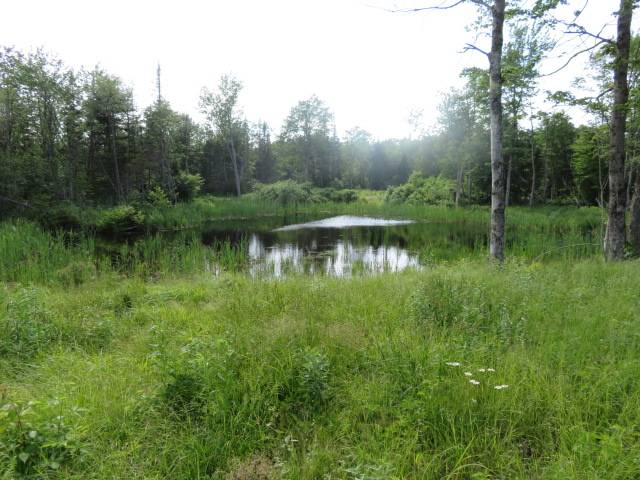 #6 photo, 3714 North Rd, West Turin , NY 13325