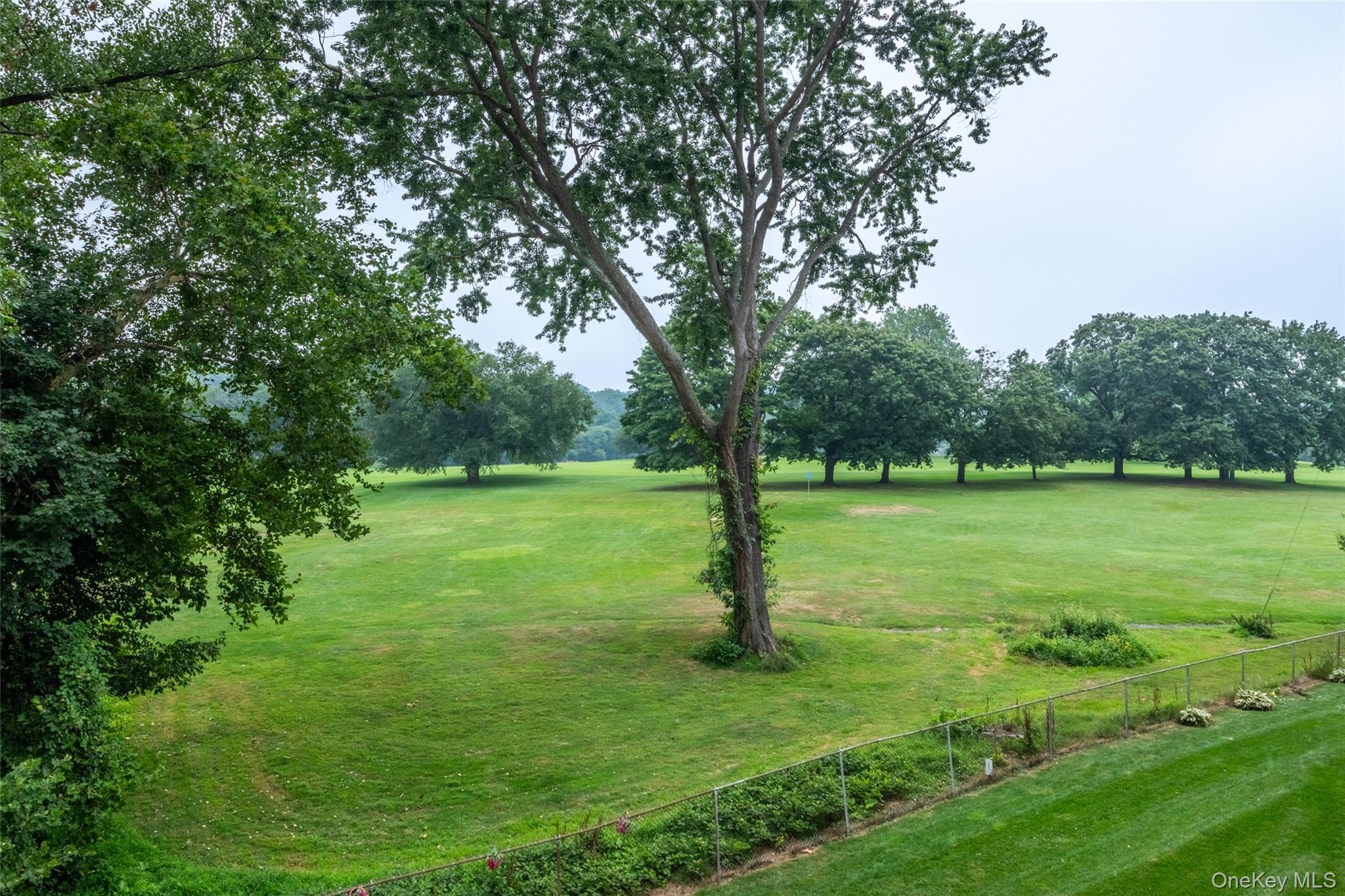 #11 photo, 1255 North Avenue, New Rochelle , NY 10804