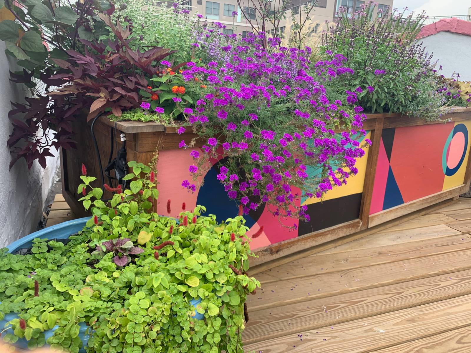 #12 photo, 373 S 1st Street, ブルックリン区 Southside , NY 11211