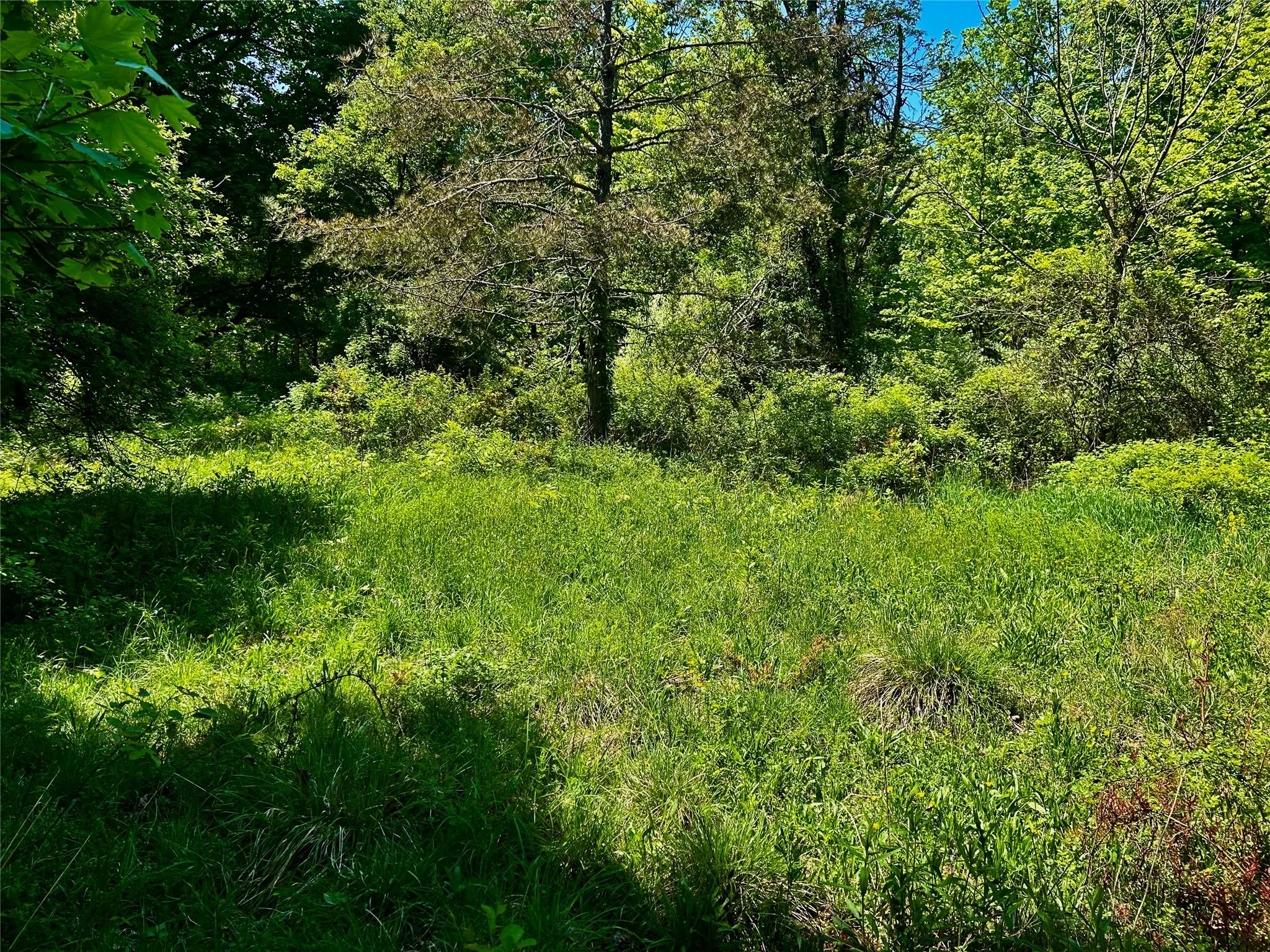 #2 photo, North Creek Road, Clinton Corners , NY 12580