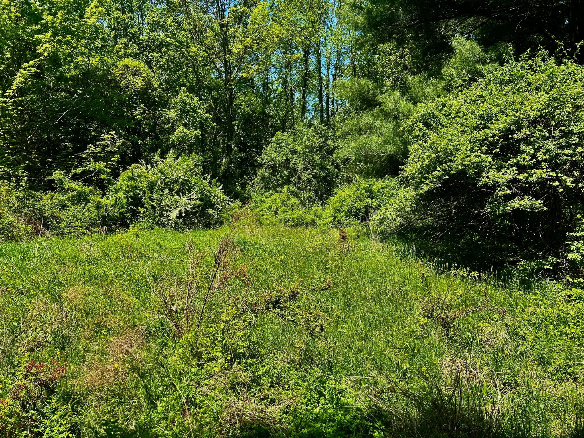 #7 photo, North Creek Road, Clinton Corners , NY 12580