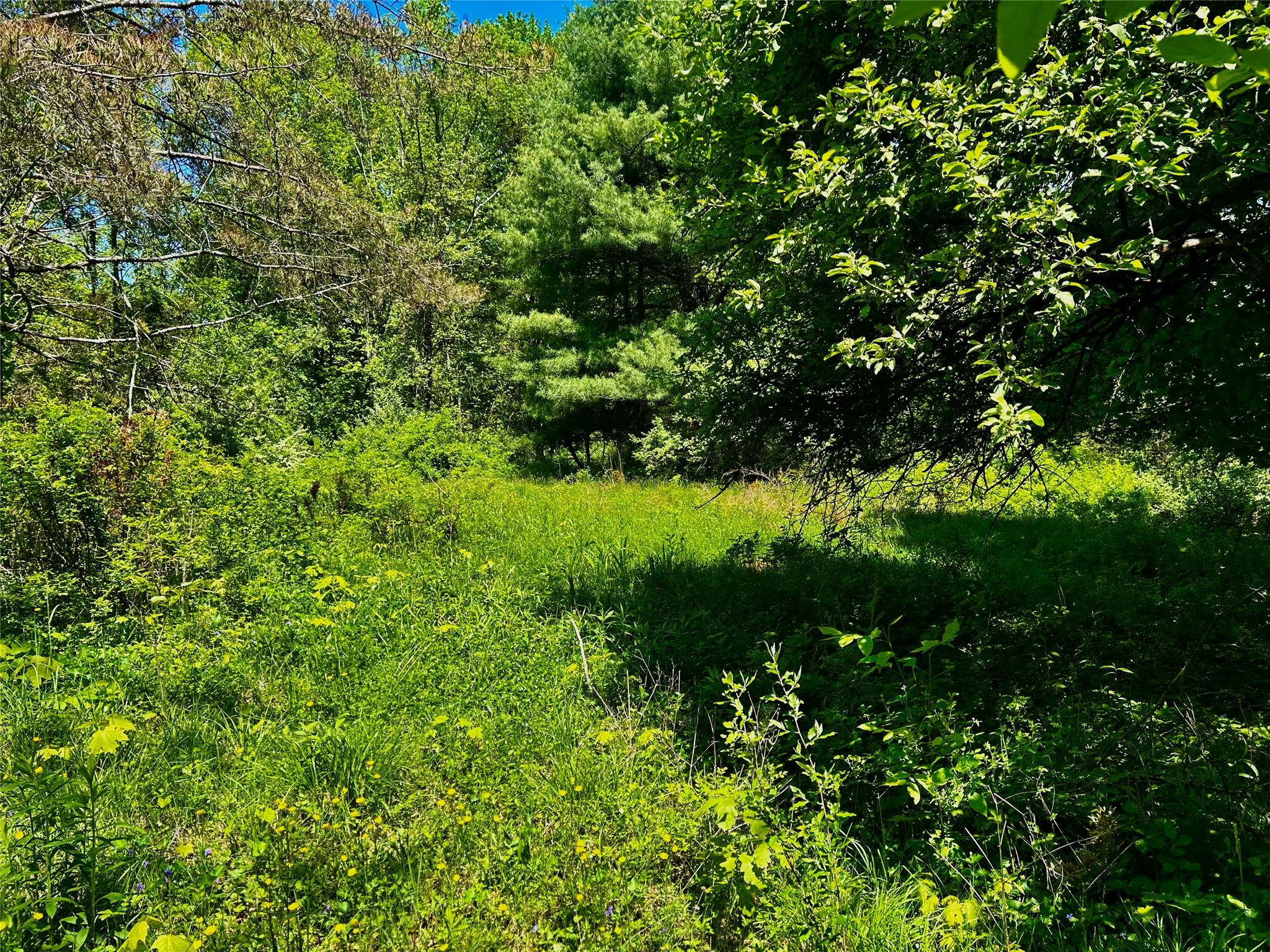 #8 photo, North Creek Road, Clinton Corners , NY 12580