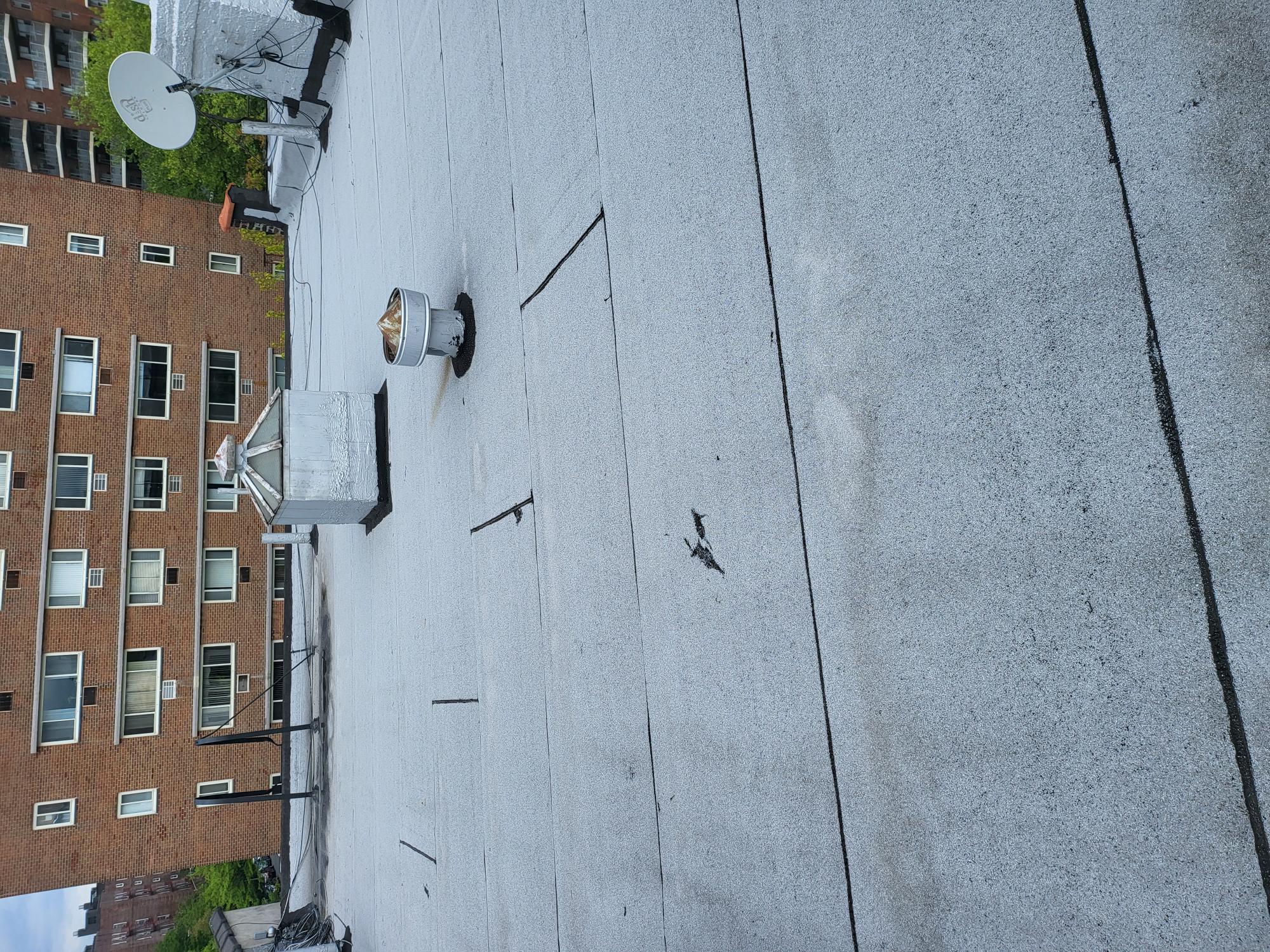 #11 photo, 52-05 Skillman Avenue, クイーンズ区 Flushing , NY 11377