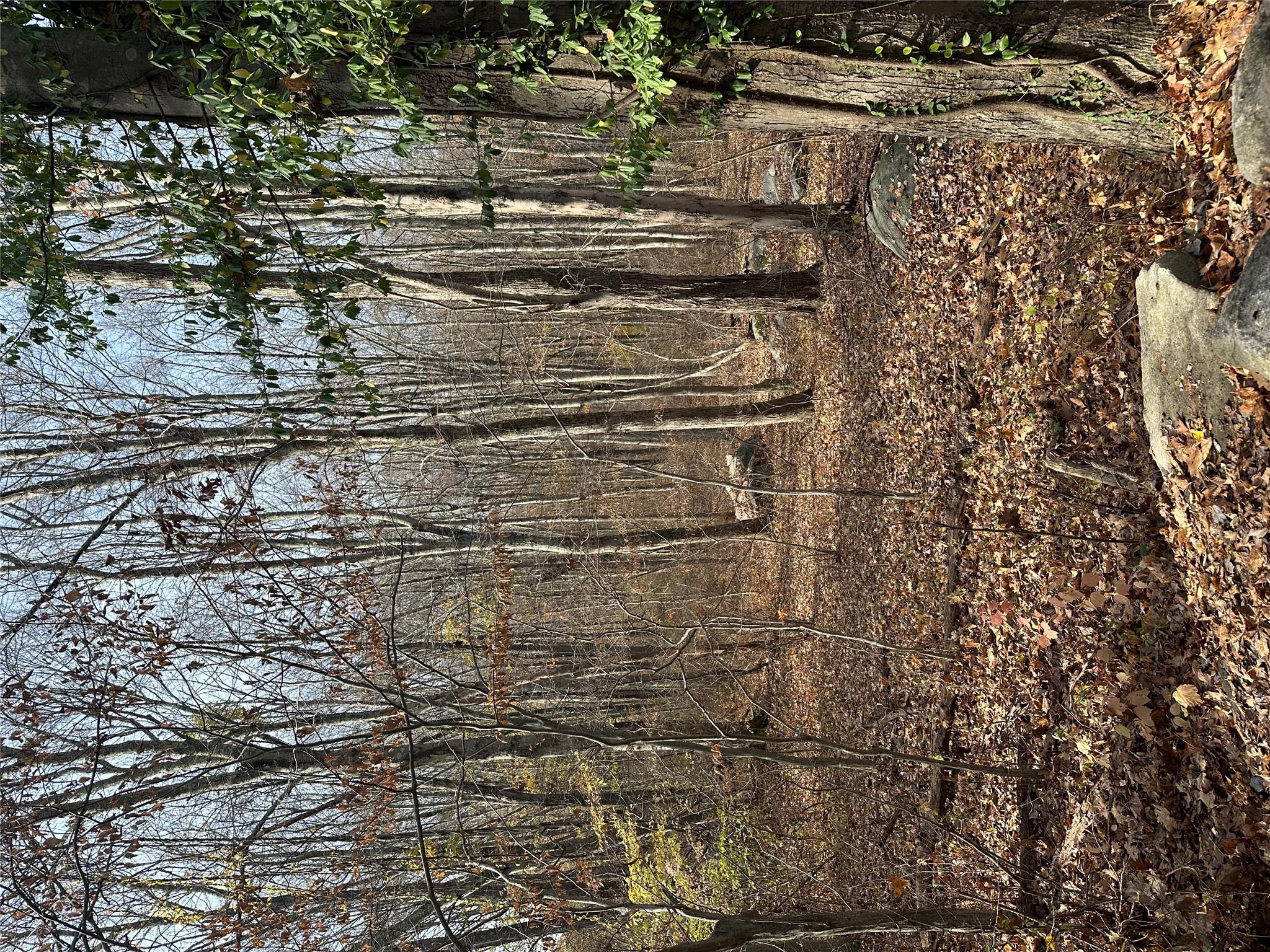 #8 photo, Fields Corner Road, Carmel , NY 10512