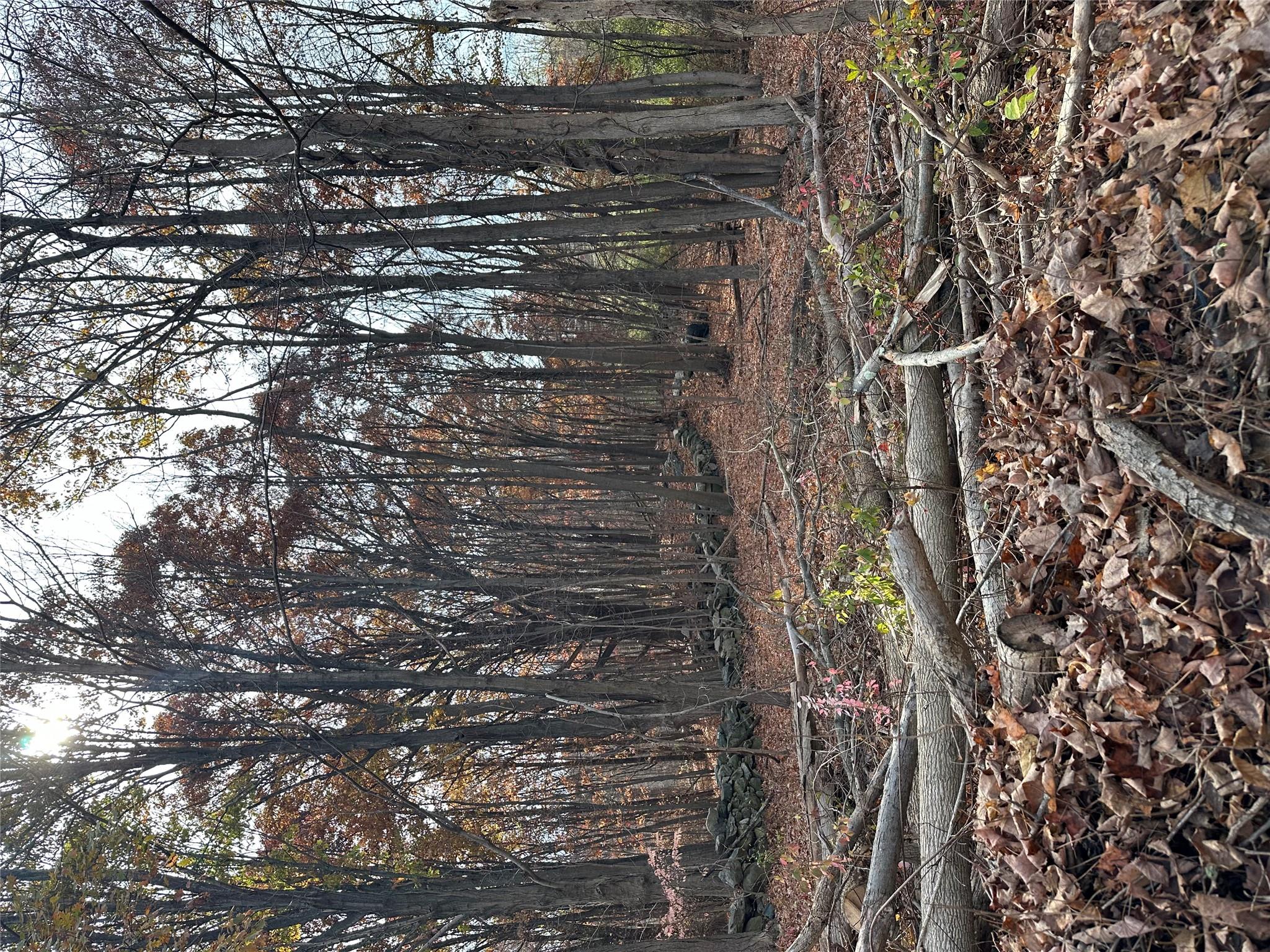 #9 photo, Fields Corner Road, Carmel , NY 10512