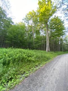 #10 photo, Stump Pond Road, Callicoon Center , NY 12724