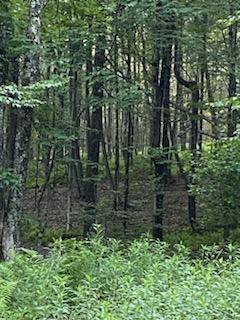 #11 photo, Stump Pond Road, Callicoon Center , NY 12724