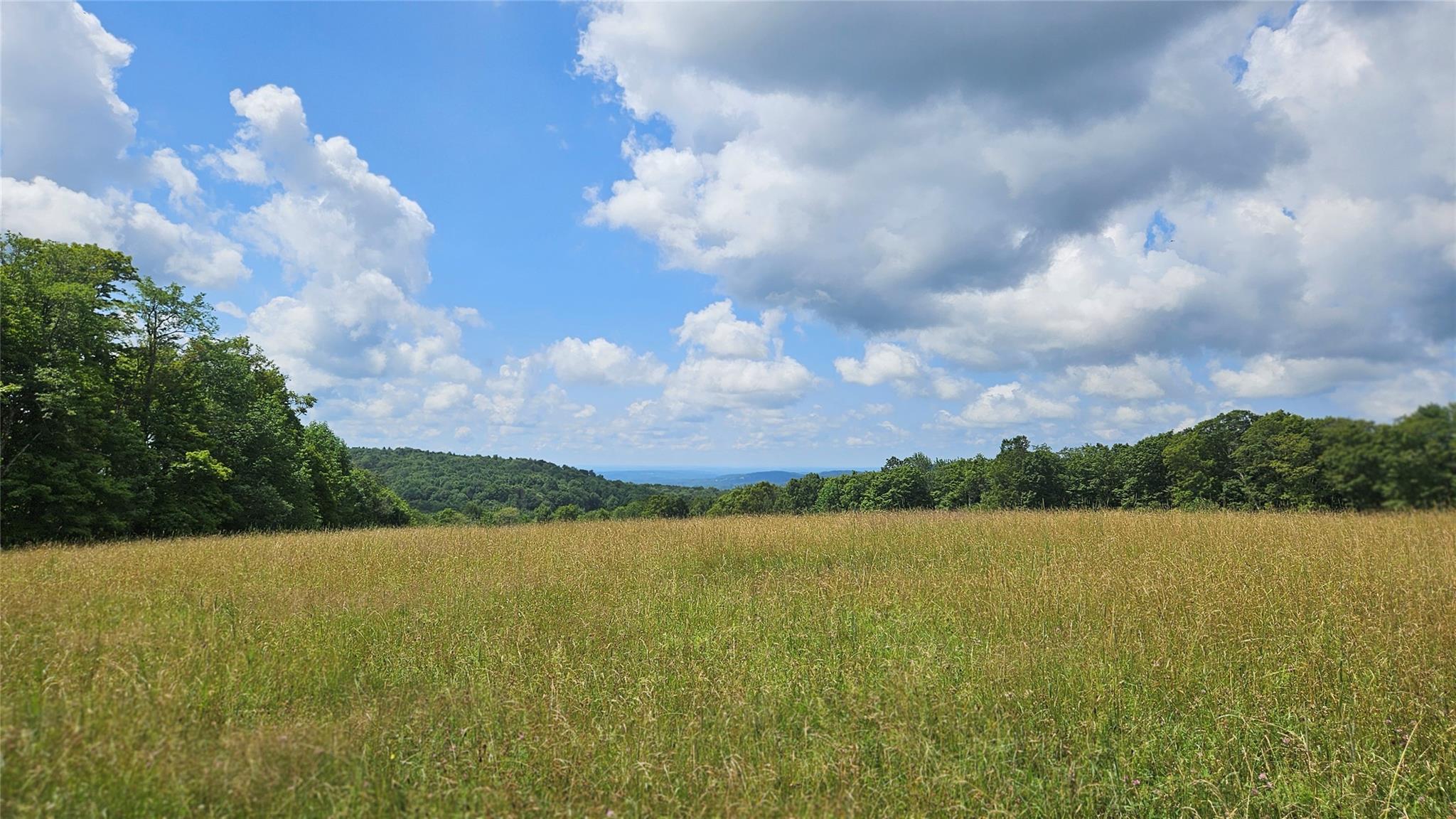 #13 photo, Stump Pond Road, Callicoon Center , NY 12724