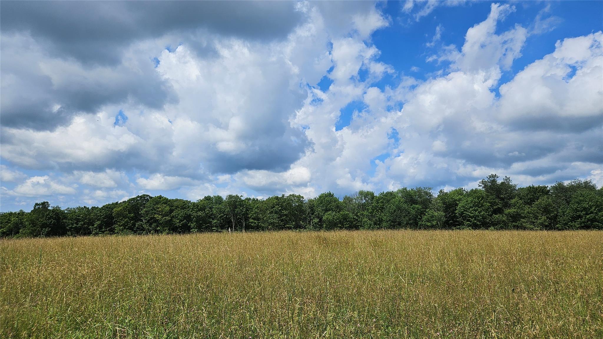 #14 photo, Stump Pond Road, Callicoon Center , NY 12724