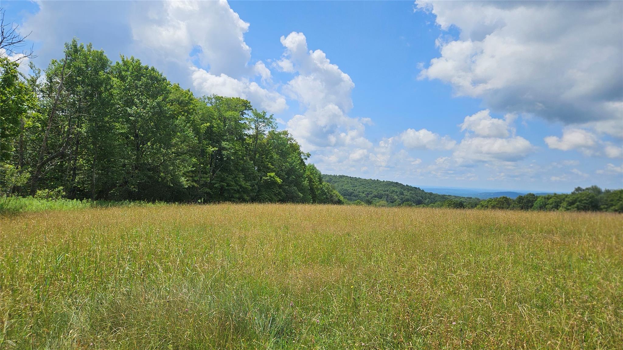 #15 photo, Stump Pond Road, Callicoon Center , NY 12724