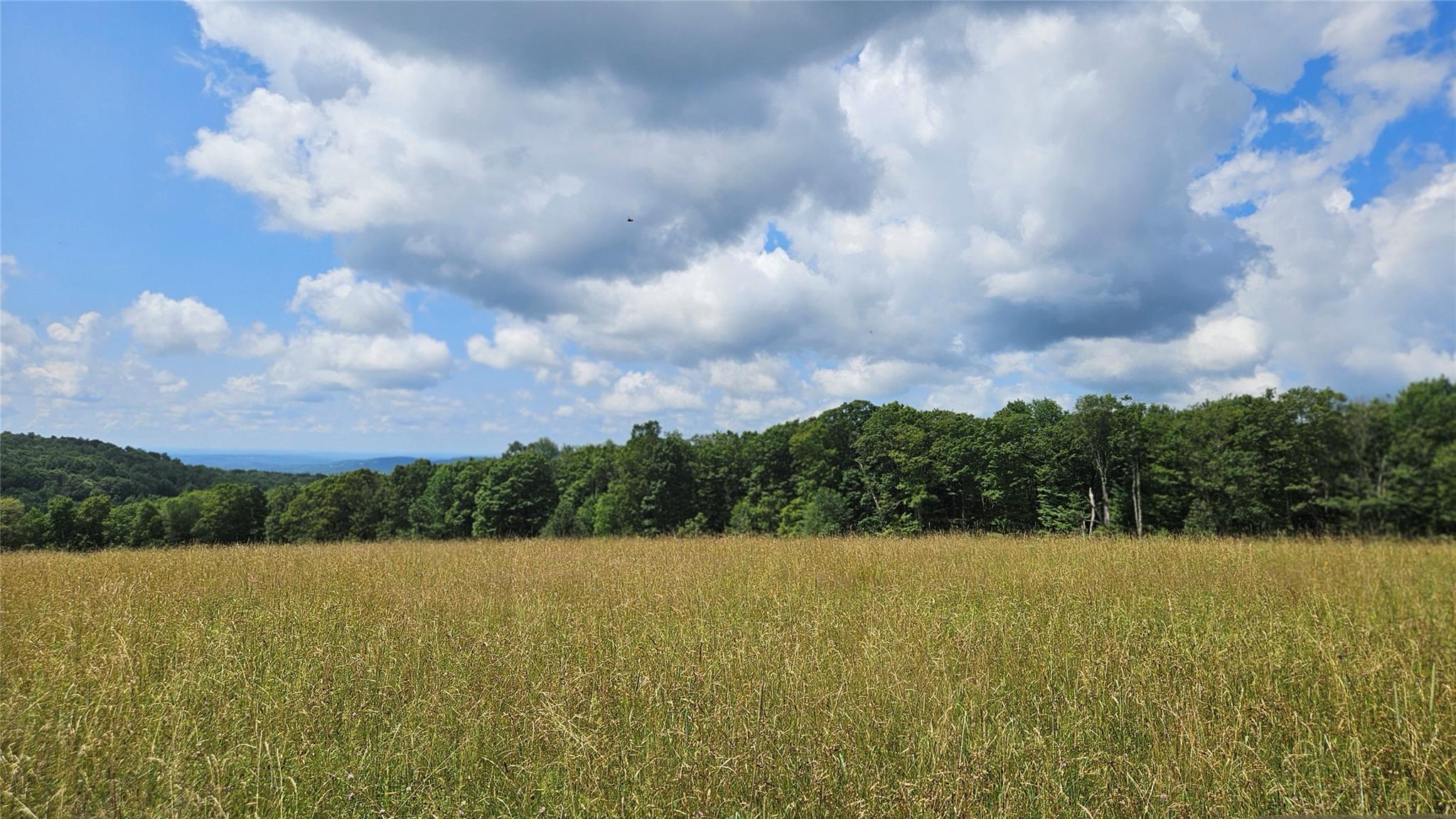 #17 photo, Stump Pond Road, Callicoon Center , NY 12724