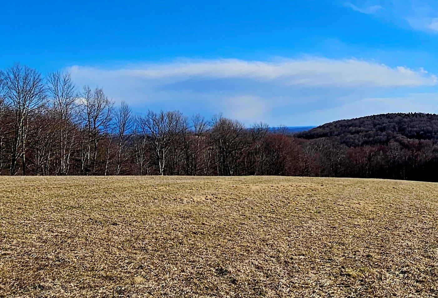 #3 photo, Stump Pond Road, Callicoon Center , NY 12724