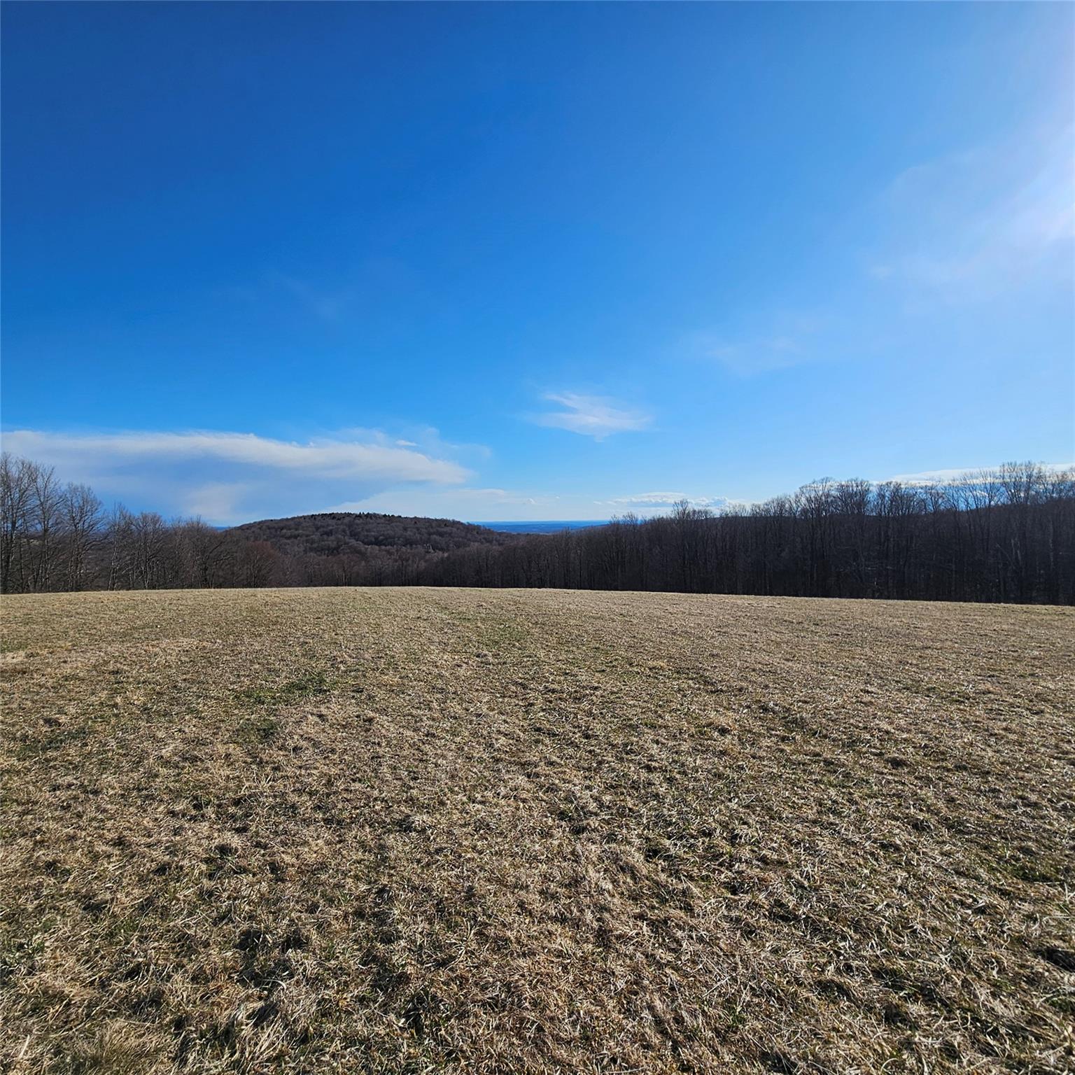 #4 photo, Stump Pond Road, Callicoon Center , NY 12724