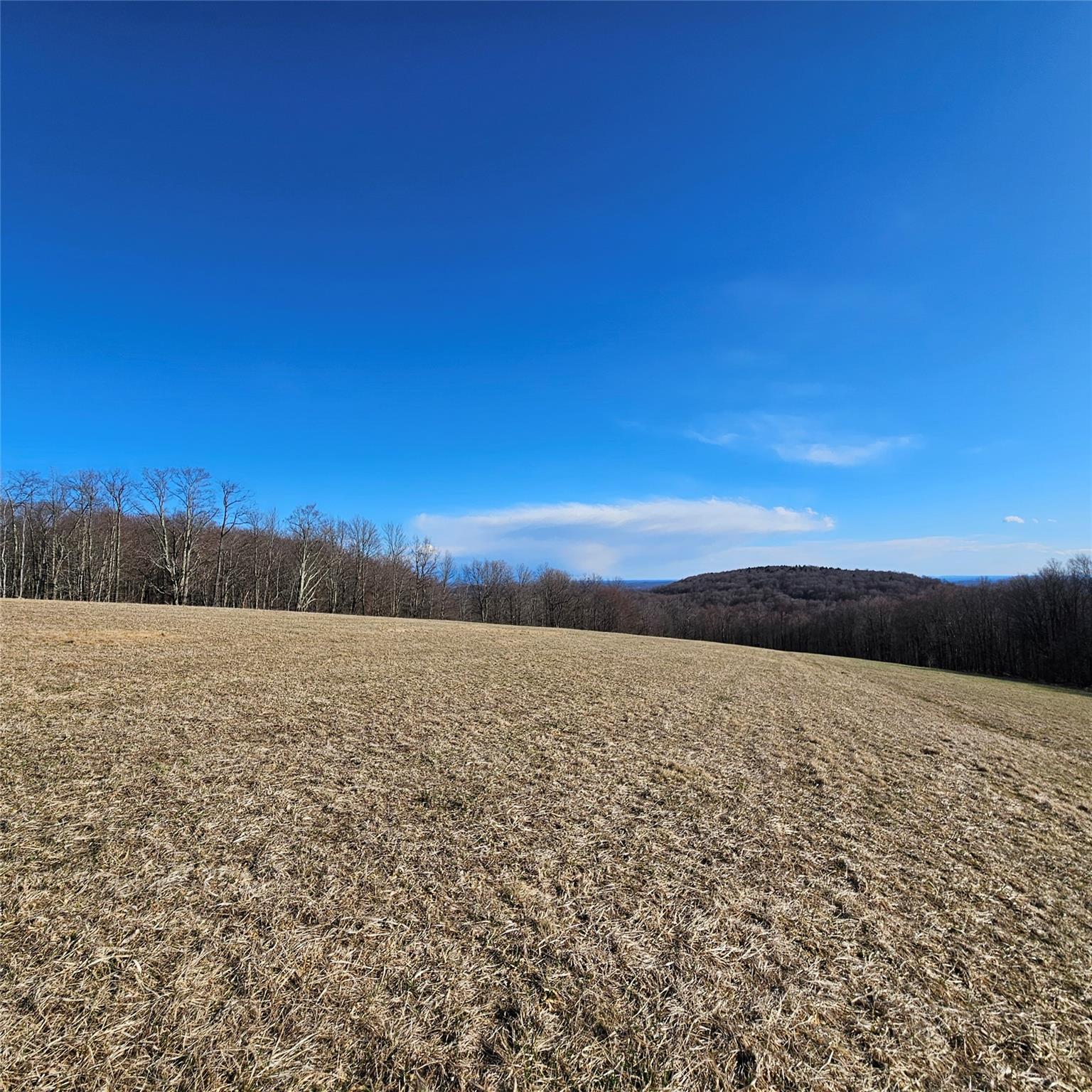 #5 photo, Stump Pond Road, Callicoon Center , NY 12724