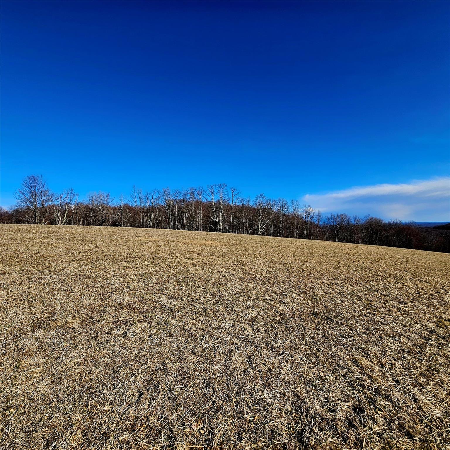 #7 photo, Stump Pond Road, Callicoon Center , NY 12724