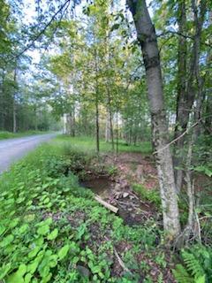 #9 photo, Stump Pond Road, Callicoon Center , NY 12724
