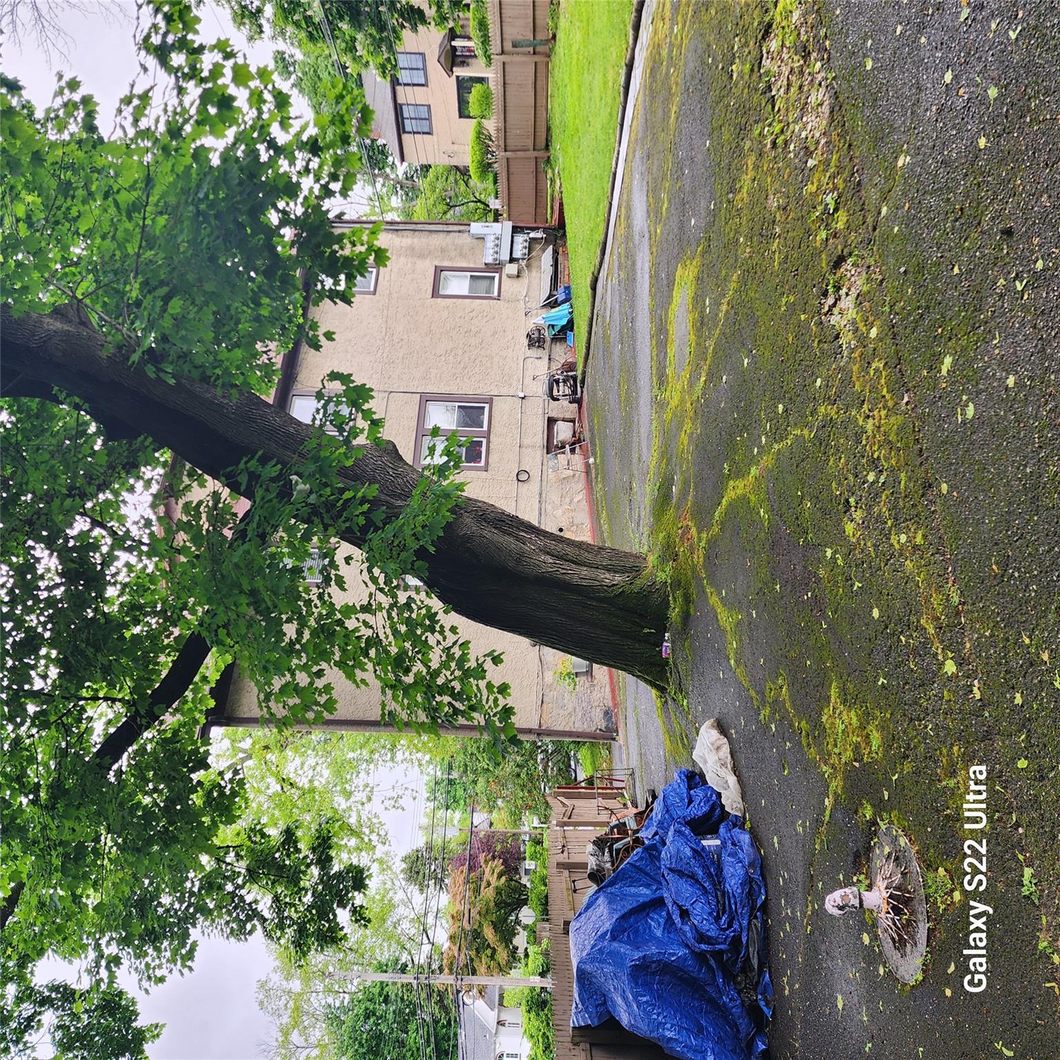 #8 photo, 151 N Evart Avenue, Elmsford , NY 10523