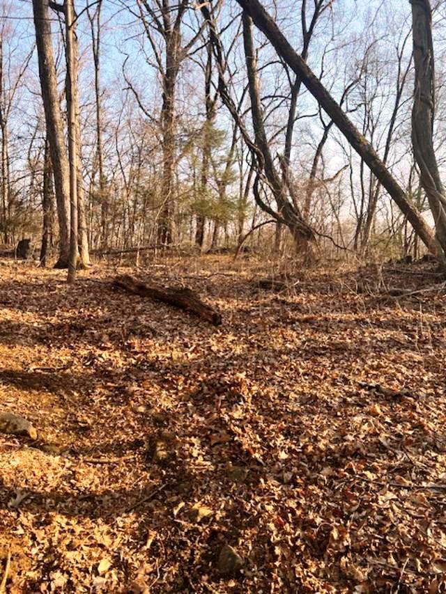 #5 photo, Lot 7 Mountainside Trail, Cortlandt Manor , NY 10567