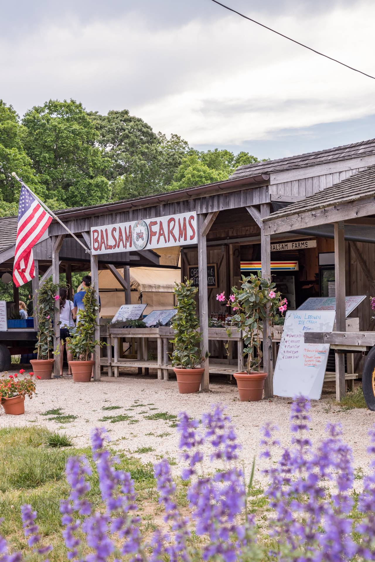 #12 photo, 3 Clinton Street, サフォーク郡 East Hampton , NY 11937