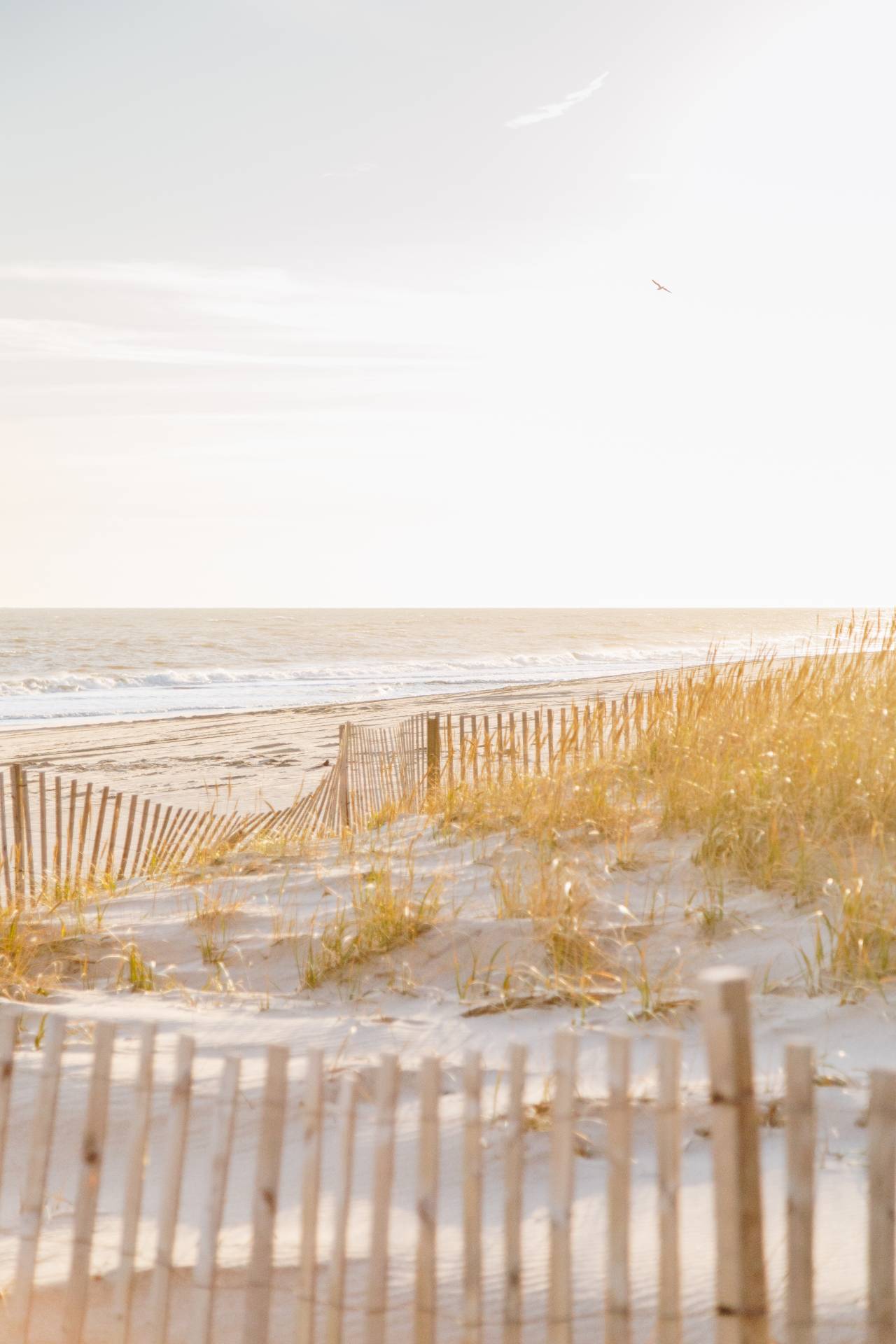 #8 photo, 3 Clinton Street, サフォーク郡 East Hampton , NY 11937