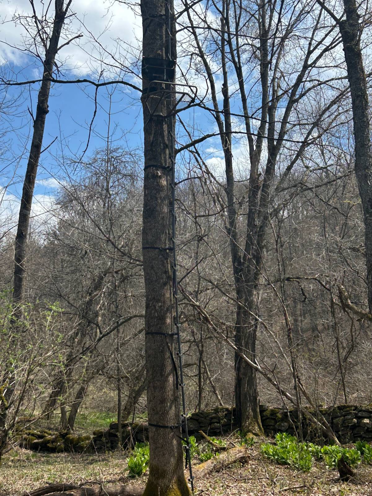 #11 photo, 0 Houghtaling Hollow Rd, Meredth , NY 13757